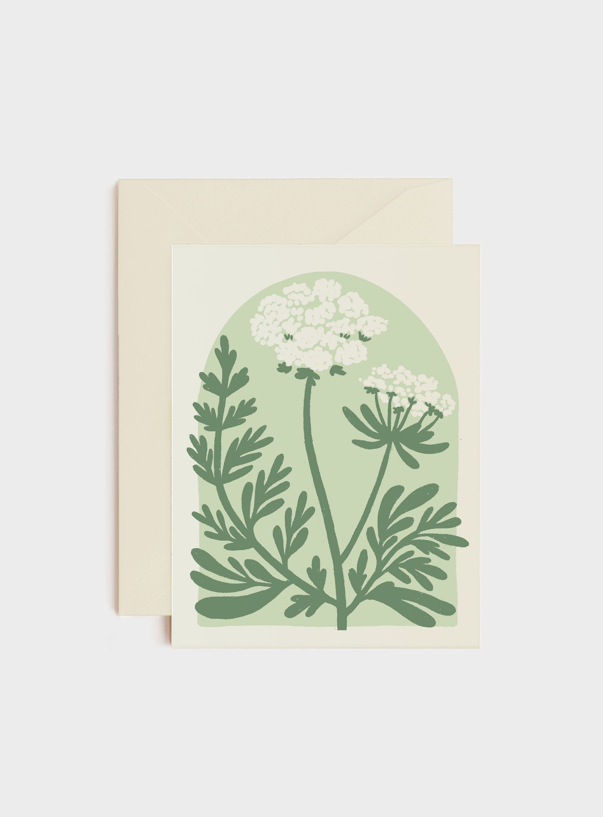 Queen Anne's Lace Blank Card – Wanderite