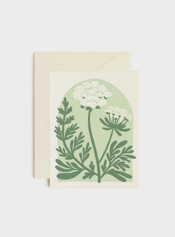 Queen Anne's Lace, Everyday Card