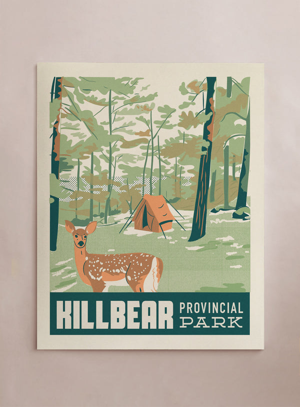 Travel Killbear Provincial Park - Deer