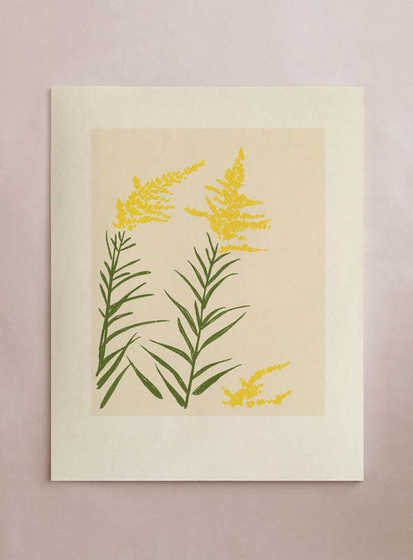 Wildflower: Goldenrod