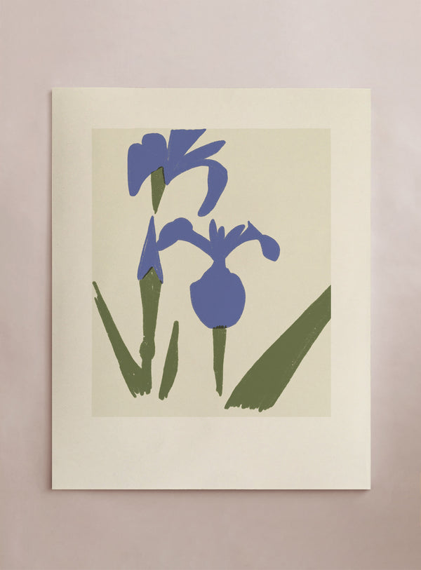 Wildflower: Iris