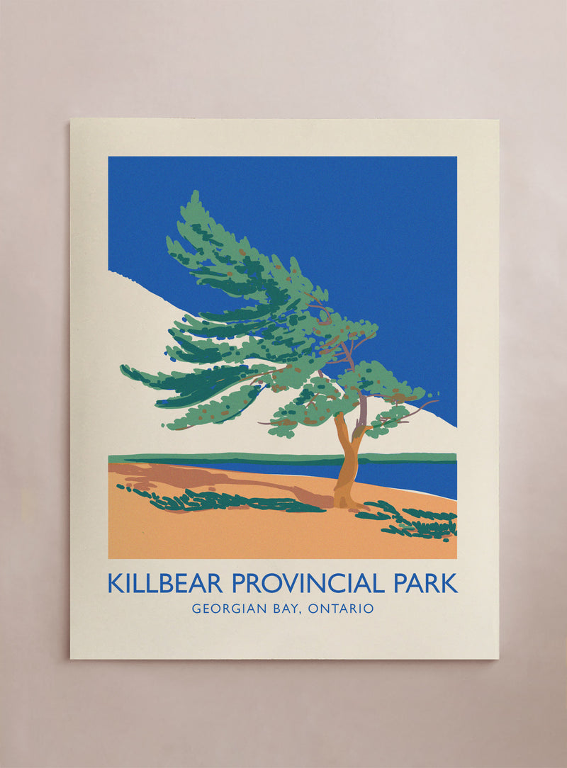 Travel Killbear Provincial Park - Tree