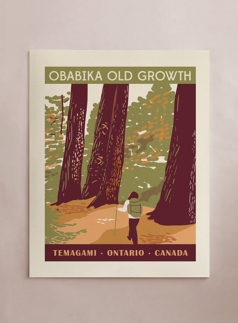 Travel Obabika Old Growth